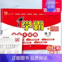 六年级下]语文-人教版 淘精选官方认证丨该商品正版 [正版]2024秋学霸提优大试卷一二三四五六年级上册下册小学