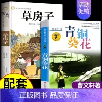 [全2册]青铜葵花+草房子 [正版]青铜葵花曹文轩原著完整版 江苏凤凰少年儿童出版社四年级下册阅读课外书必读的书目与全套