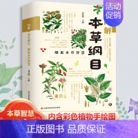 本草纲目 [正版]抖音同款漫画讲透黄帝内经原版书籍 漫画图解皇帝内经白话文彩图漫画版大字体四季养生大全百病食疗中医入门中