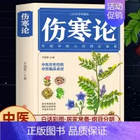 伤寒论 [正版]抖音同款漫画讲透黄帝内经原版书籍 漫画图解皇帝内经白话文彩图漫画版大字体四季养生大全百病食疗中医入门中草