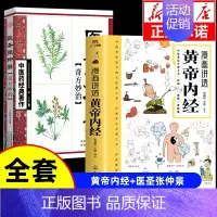 [全套2册]黄帝内经+医圣张仲景奇方妙治 [正版]漫画讲透黄帝内经漫画版图解原著版白话皇帝伤寒论医圣张仲景金匮要略千家妙