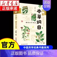 [单本]本草纲目 [正版]漫画讲透黄帝内经漫画版图解原著版白话皇帝伤寒论医圣张仲景金匮要略千家妙方汤头歌诀本草纲目中医养