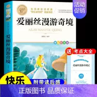 [单册]爱丽丝漫游奇境 [正版]全套4册鲁滨逊漂流记六年级必读的课外书原著完整版汤姆索亚历险记尼尔斯骑鹅旅行记爱丽丝漫游