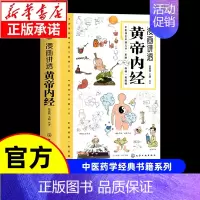 [抖音同款]漫画讲透黄帝内经(2000幅彩图一看就懂) [正版]漫画讲透黄帝内经漫画版图解原著版白话皇帝伤寒论医圣张仲景