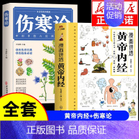 [全套2册]黄帝内经+伤寒论 [正版]漫画讲透黄帝内经漫画版图解原著版白话皇帝伤寒论医圣张仲景金匮要略千家妙方汤头歌诀本
