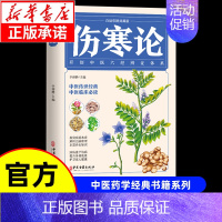 [单本]伤寒论 [正版]漫画讲透黄帝内经漫画版图解原著版白话皇帝伤寒论医圣张仲景金匮要略千家妙方汤头歌诀本草纲目中医养生