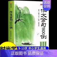 [小学通用]作文金句800例 小学通用 [正版]小学生作文金句八百例小学一二三四五六年级通用语文英语高分作文素材800例