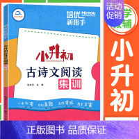 小升初古诗文阅读集训 小学升初中 [正版]文言文阅读强化训练120篇 六年级小升初 小学语文文言文古诗文古文阅读理解专项