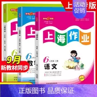 六年级 上册语数英(赠小初衔接数学练习)[2024秋版-9月开学新版] 小学通用 [正版]2024钟书金牌上海作业四