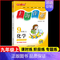 九年级 上册化学 小学通用 [正版]2024钟书金牌上海作业四年级上册数学五年级六年级一二三年级七八九年级上册下册语文英