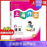六年级 上册语文[2024秋版-9月开学新版] 小学通用 [正版]2024钟书金牌上海作业四年级上册数学五年级六年级