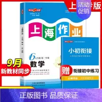 六年级 上册数学(赠小初衔接数学练习)[2024秋版-9月开学新版] 小学通用 [正版]2024钟书金牌上海作业四年