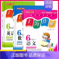 六年级 下册语数英全3本 小学通用 [正版]2024钟书金牌上海作业四年级上册数学五年级六年级一二三年级七八九年级上册下