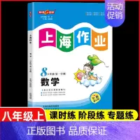 八年级 上册数学 小学通用 [正版]2024钟书金牌上海作业四年级上册数学五年级六年级一二三年级七八九年级上册下册语文英