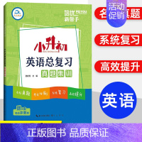 英语小升初总复习真题集训 小学升初中 [正版]培优新帮手小升初毕业考试文言文阅读考试真题集训小学生升初中语文教辅资料文言