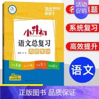 语文小升初总复习真题集训 小学升初中 [正版]培优新帮手小升初毕业考试文言文阅读考试真题集训小学生升初中语文教辅资料文言