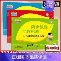 6上 语文+数学+英语[3本 江苏专用] [正版]2024秋亮点给力同步跟踪全程检测及各地期末试卷精选一年级二三四五六年