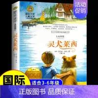 [国际获奖]灵犬莱西 [正版]草原上的小木屋 纽伯瑞国际大奖儿童文学系列小学生课外阅读书籍三年级四年级上册下册阅读课外书