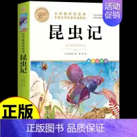 昆虫记 [正版]彩图草原上的小木屋 英格斯著 三年级四年级五六年级上册阅读课外书必读小学生阅读课外书籍天地北京教育出版社