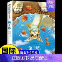 [国际获奖]坡 [正版]居里夫人的故事 国际大奖儿童文学系列小学生课外阅读书籍三年级四年级五六上册下册阅读课外书必读