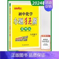 九年级下 [巅峰]化学-全国版 [正版]2024秋季初中必刷小题狂做七八九年级上下册语文数学英语物理化学提优巅峰版初一二