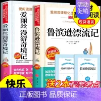 [2册]鲁滨逊漂流记+爱丽丝历险记 [正版]全套4册 鲁滨逊漂流记六年级下册必读的课外书原著完整版汤姆索亚历险记骑鹅旅行