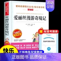 [单本]爱丽丝漫游奇境记 [正版]全套4册 鲁滨逊漂流记六年级下册必读的课外书原著完整版汤姆索亚历险记骑鹅旅行记快乐读书
