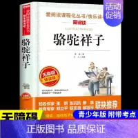 骆驼祥子 [正版]全套5册 五年级下册课外书必读书目小兵张嘎徐光耀俗世奇人冯骥才呼兰河传萧红著骆驼祥子老舍原著儒林外史转