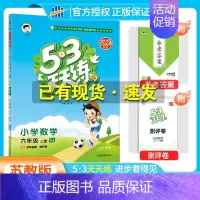 [六年级上]数学-苏教版 [正版]2024秋季新版53天天练一1二2三3四4五5六6年级上册同步训练全套语文数学英语人教