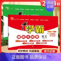 六年级上]语文+数学-人教版 淘精选官方认证丨该商品正版 [正版]2024秋学霸提优大试卷一二三四五六年级上册下