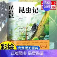 [人民文学出版]昆虫记 [正版]人民文学出版鲁滨逊漂流记六年级必读课外书 彩图原著完整版 三四五六年级上下册小学生必读课