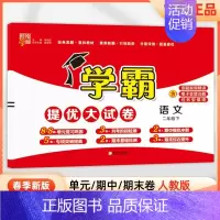 二年级下]语文-人教版 淘精选官方认证丨该商品正版 [正版]2024秋学霸提优大试卷一二三四五六年级上册下册小学