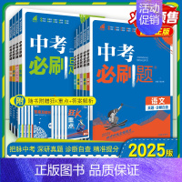 [中考必刷题]语数英物化.5本 初中通用 [正版]2025中考必刷题数学英语九年级必刷中考真题分类语文物理化学初中必刷题