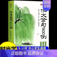 [时光学]作文金句800例 小学通用 [正版]时光学用 公式写作文 小学生作文书大全一二三四五六年级小学初中语文满分精选