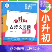小升初古诗文阅读集训 小学升初中 [正版]文言文阅读强化训练120篇 六年级小升初 小学语文文言文古诗文古文阅读理解专项