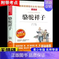 骆驼祥子 [正版]居里夫人传原著 居里夫人的故事自传文选 名人传小学生初中四五六年级课外阅读书籍世界名著外国文学经典小说