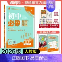 化学 RJ 九年级下 [正版]理想树2025版初中必刷题九年级下册化学人教版RJ初三必刷题同步练习中考复习资料模拟题辅导