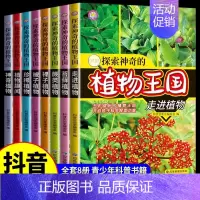 [全8册]探索神奇的植物王国 [正版]探索宇宙奥秘全套8册 宇宙百科全书 小学生太空百科全书关于宇宙星球的书揭秘星空天文