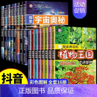 [全16册]探索宇宙+植物王国 [正版]探索宇宙奥秘全套8册 宇宙百科全书 小学生太空百科全书关于宇宙星球的书揭秘星空天