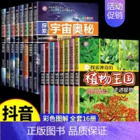 [全16册]探索宇宙+植物王国 [正版]探索宇宙奥秘全套8册 宇宙百科全书 小学生太空百科全书关于宇宙星球的书揭秘星空天