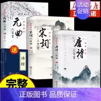 [全3册]唐诗+宋词+元曲三百首 [正版]全套3册 唐诗宋词三百首鉴赏辞典元曲全集小学生必背300首幼儿启蒙一百首75儿