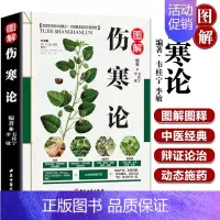 [正版]伤寒论张仲景原著全集图解伤寒杂病论白话文全解 中医养生书籍大全医学全书 中医古籍出版社零基础学中医基础知识自学入