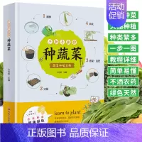 [正版]手把手教你种蔬菜 图说蔬菜栽培技术 蔬菜栽培种植技术大全书籍 种菜栽培实用手册 蔬菜种植技术室内室外的私家菜园