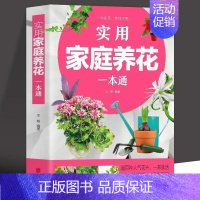 [正版]实用家庭养花一本通书籍彩图详解 花卉养护知识养花教程花卉知识介绍种植栽培修剪指导繁殖法书籍 鲜花品种介绍养护知识