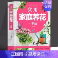 [正版]实用家庭养花一本通书籍彩图详解 花卉养护知识养花教程花卉知识介绍种植栽培修剪指导繁殖法书籍 鲜花品种介绍养护知识