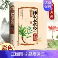 [正版]神农本草经古籍原版原著全彩珍藏版中医药学典藏彩色图鉴实用的现代家庭养生全书指导现代人的日常食疗食养中医养生保健书