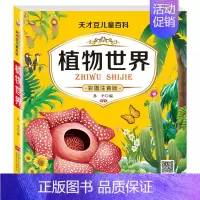 植物世界(彩图注音版) [正版]动物世界百科全书全套4册DK博物大百科彩图注音版少儿奇趣植物海洋生物昆虫世界儿童科普百科