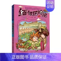 [单册]缅甸历险记 [正版]全套11册令人着迷的世界旅行历险记美国巴西英国丹麦法国南非芬兰历险记三四五六年级小学生课外阅