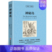 [正版]神秘岛中英文双语版凡尔纳儒勒原著读名著学英语英汉对照经典世界名著外国文学长篇小说英文版原版英语读物初中高中生课外