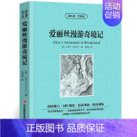 [正版]爱丽丝漫游奇境记中英文双语版卡罗尔原著英汉对照中英文经典世界名著外国文学长篇小说英文版原版英语读物初中高中生课外